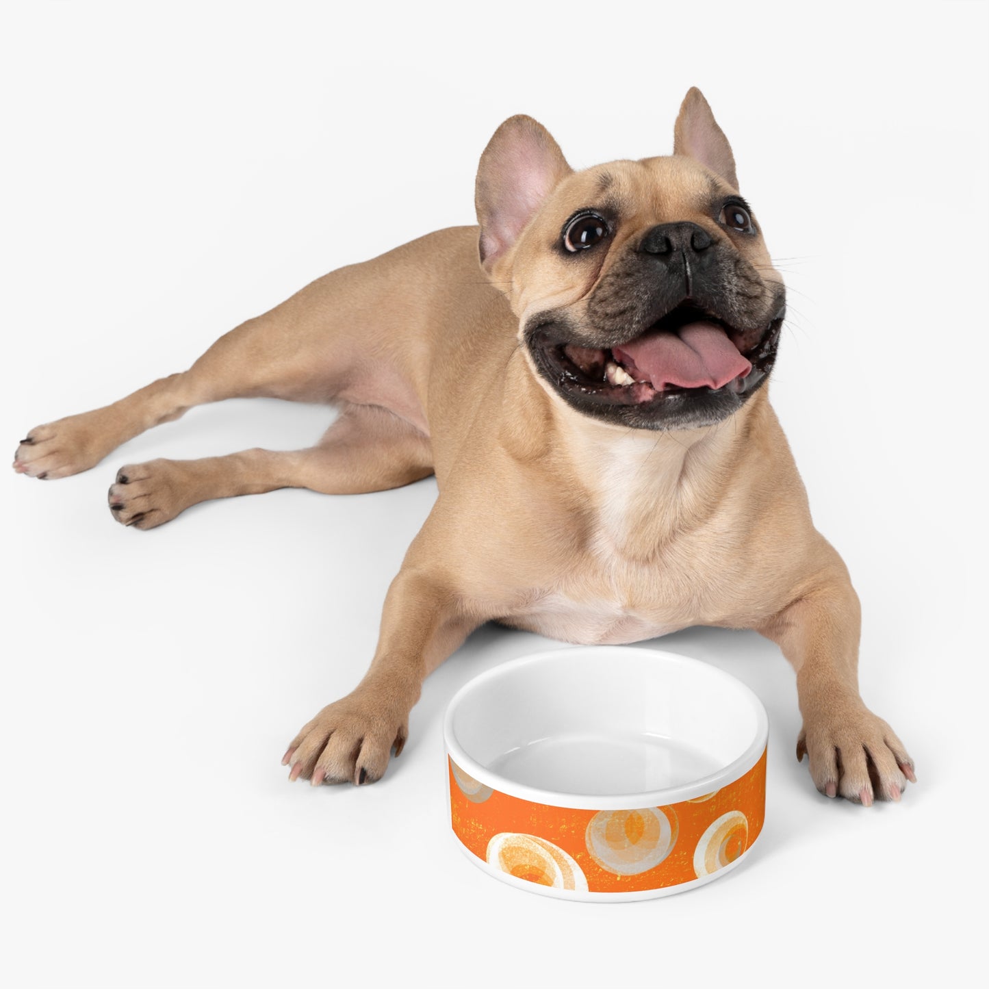 Pet Bowl - Orange Bubbles