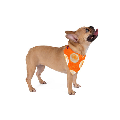 Pet Bandana - Orange Bubbles