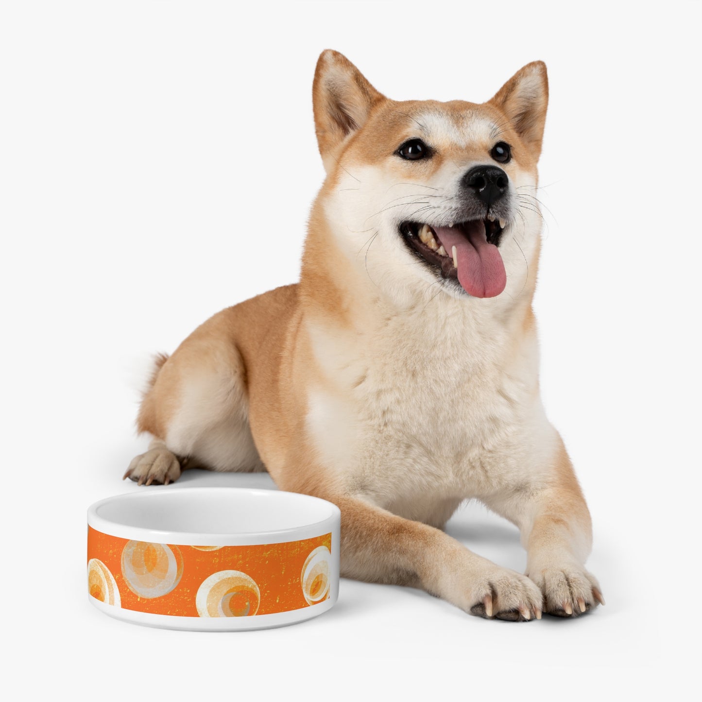 Pet Bowl - Orange Bubbles