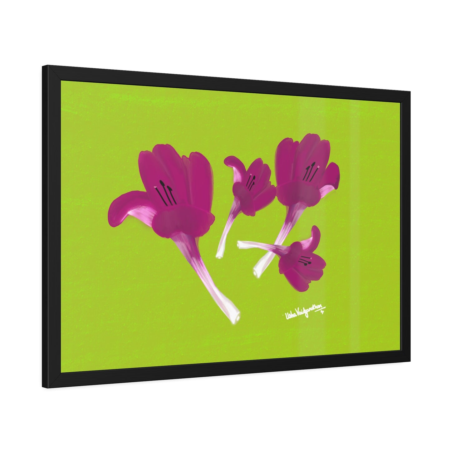 December Delights Magenta  - Framed Art