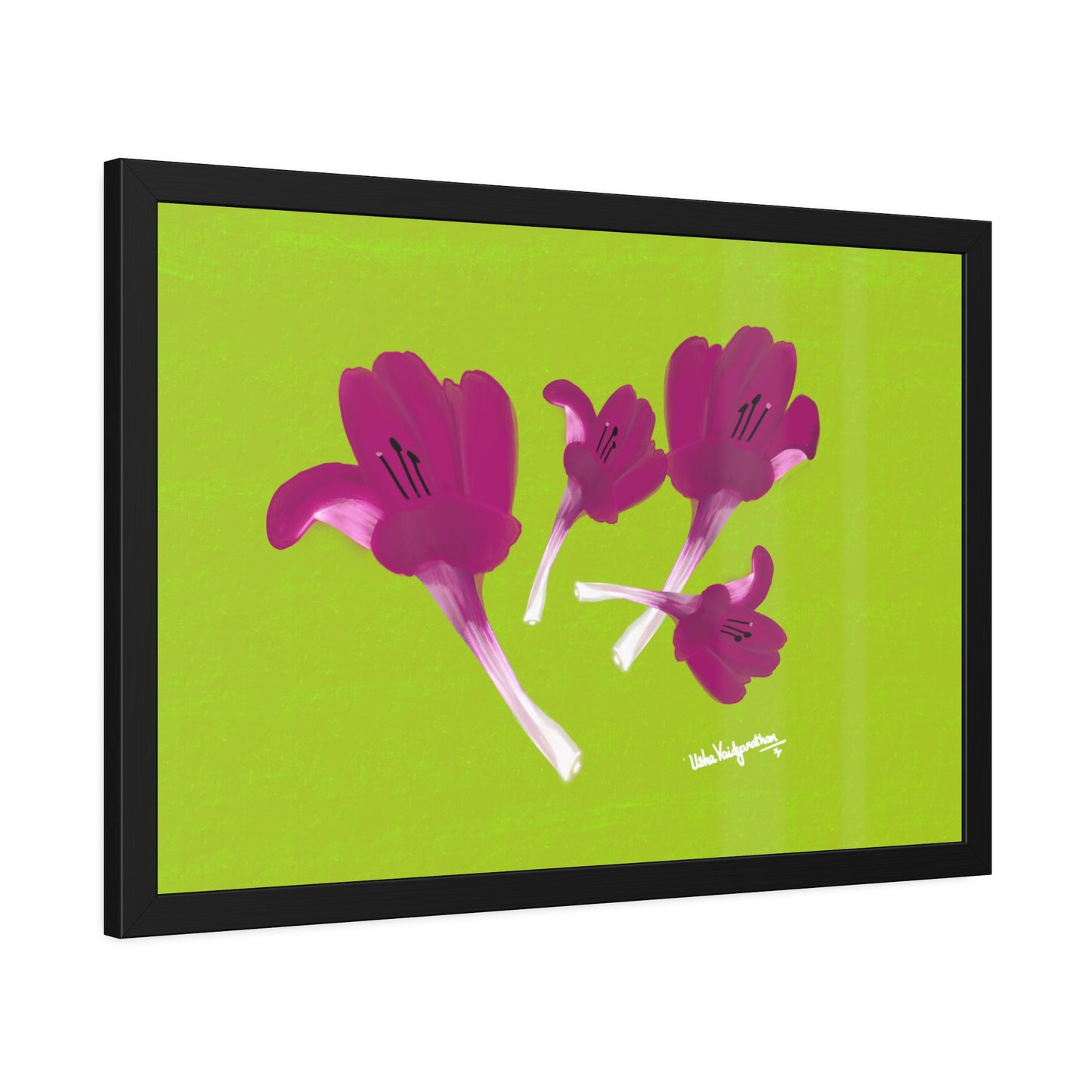 December Delights Magenta  - Framed Art